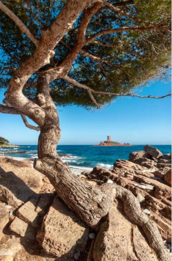 Le Petit Semaphore Saint-Raphaël Εξωτερικό φωτογραφία